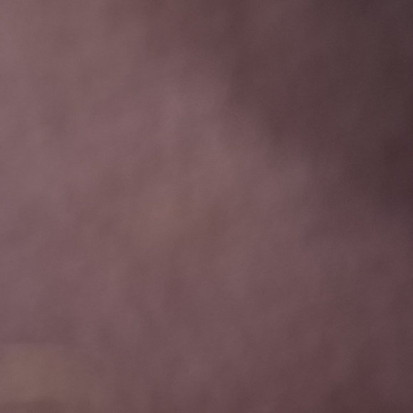 L'il Back Bracer for Dogs - Picture 1 of 1